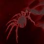 Jako Spider (Explicit)