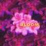 Bloom (Explicit)