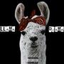 LLAMA DRAMA (Explicit)