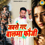 Jabse Gaye Balma Fauji
