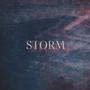 Cycle 2: STORM