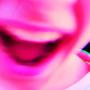 Dilettante