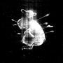 NEW LIFE (Explicit)