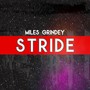 Stride (feat. Ian Michael Bruh, Wayne Viar & Enrico Galetta)