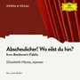 Beethoven: Fidelio, Op. 72: Abscheulicher! Wo eilst du hin?