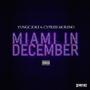 Miami In December (Explicit)