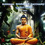 Buddham Sharanam Gacchami बुद्धं शरणं गच्छामि (108 Times)