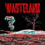 Wasteland (Explicit)