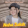 Naha Salah