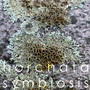 symbiosis