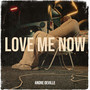 Love Me Now