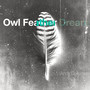 Owl Feather Dream