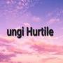 Ungi hurtile