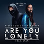 Are You Lonely (Erick Palacios Festival Mix)