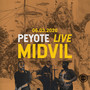 Midvil (Live at Peyote Eskişehir, 06.03.2020)