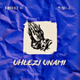 Uhlezi Unami