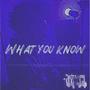 WYK (What You Know) [Explicit]