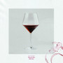 Wine & Dine (Explicit)