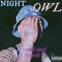 NIGHT OWL (SLOWED+REVERB) [Explicit]