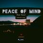 Peace of Mind (feat. Gavri'el) [Explicit]