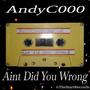Aint Did You Wrong
