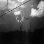 ALMOST DAWN (Explicit)