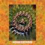 HOMEOSTASIS (Explicit)