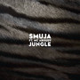 Jungle (Explicit)