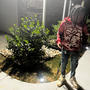 Jeff Hardy (Explicit)