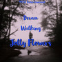 Dream Walking