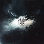HIDE FROM THE LIGHT (Explicit)