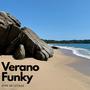 Verano Funky (feat. Canto Mestizo, El Androide, D/COIN & KuanY)