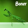 Boner