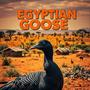 Egyptian Goose (feat. Teddy Genius) [Explicit]