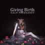 Giving Birth - Calm Pregnancy