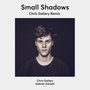 Small Shadows (Chris Gallery Remix)