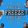 FREEZE !