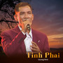 Tình Phai