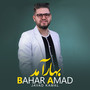 Bahar Amad