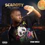 Scarcity (The Coming) [Explicit]