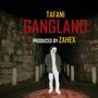 Gangland (Explicit)