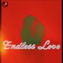 Endless Love (feat. LX)