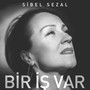 Bir İş Var