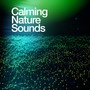 Calming Nature Sounds