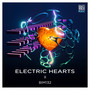 BIM132 Electric Hearts