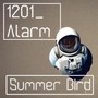 Summer Bird