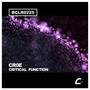 Critical Function