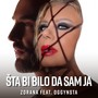 Šta bi bilo da sam ja