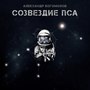 Созвездие пса