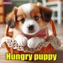 Hungry puppy